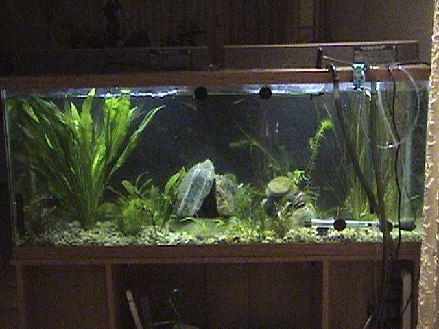 DSC00016.JPG