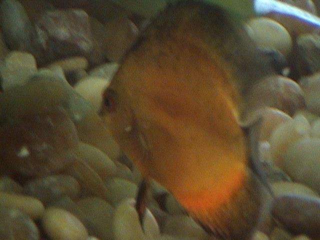 DSC00019.JPG