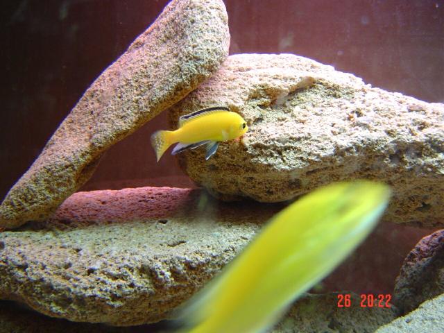 DSC00089_small.jpg