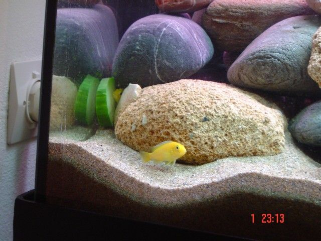 dsc00160_small.jpg