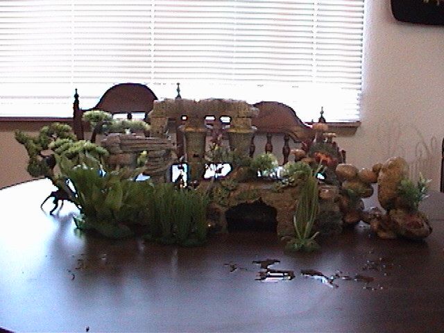 DSC00258.JPG