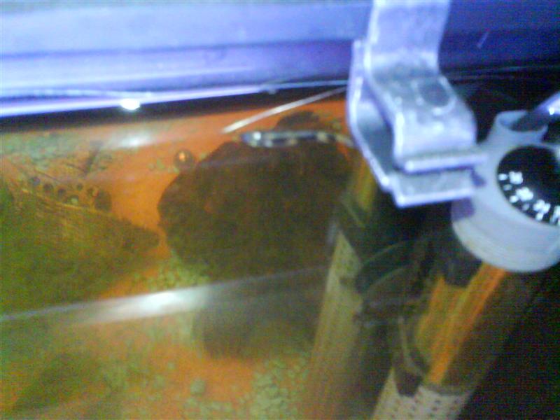 DSC00377_Small.JPG