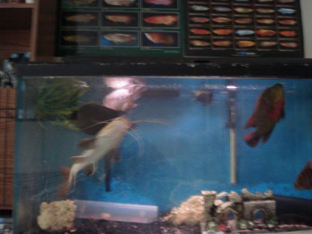DSC00477.JPG