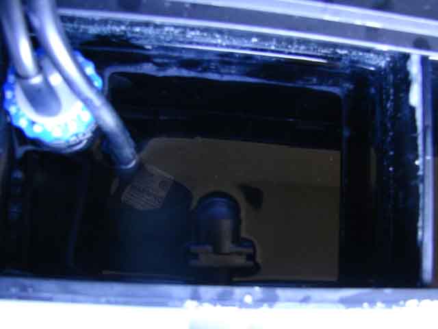 DSC00944.JPG