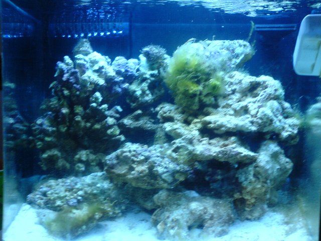 DSC01084.JPG
