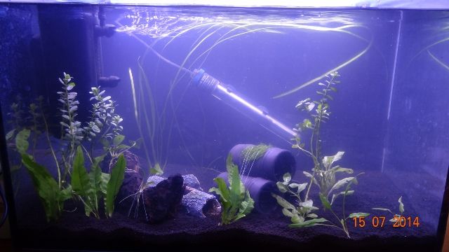 DSC02496 (640x360).jpg