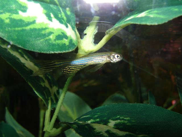 DSC02568__Small_.JPG