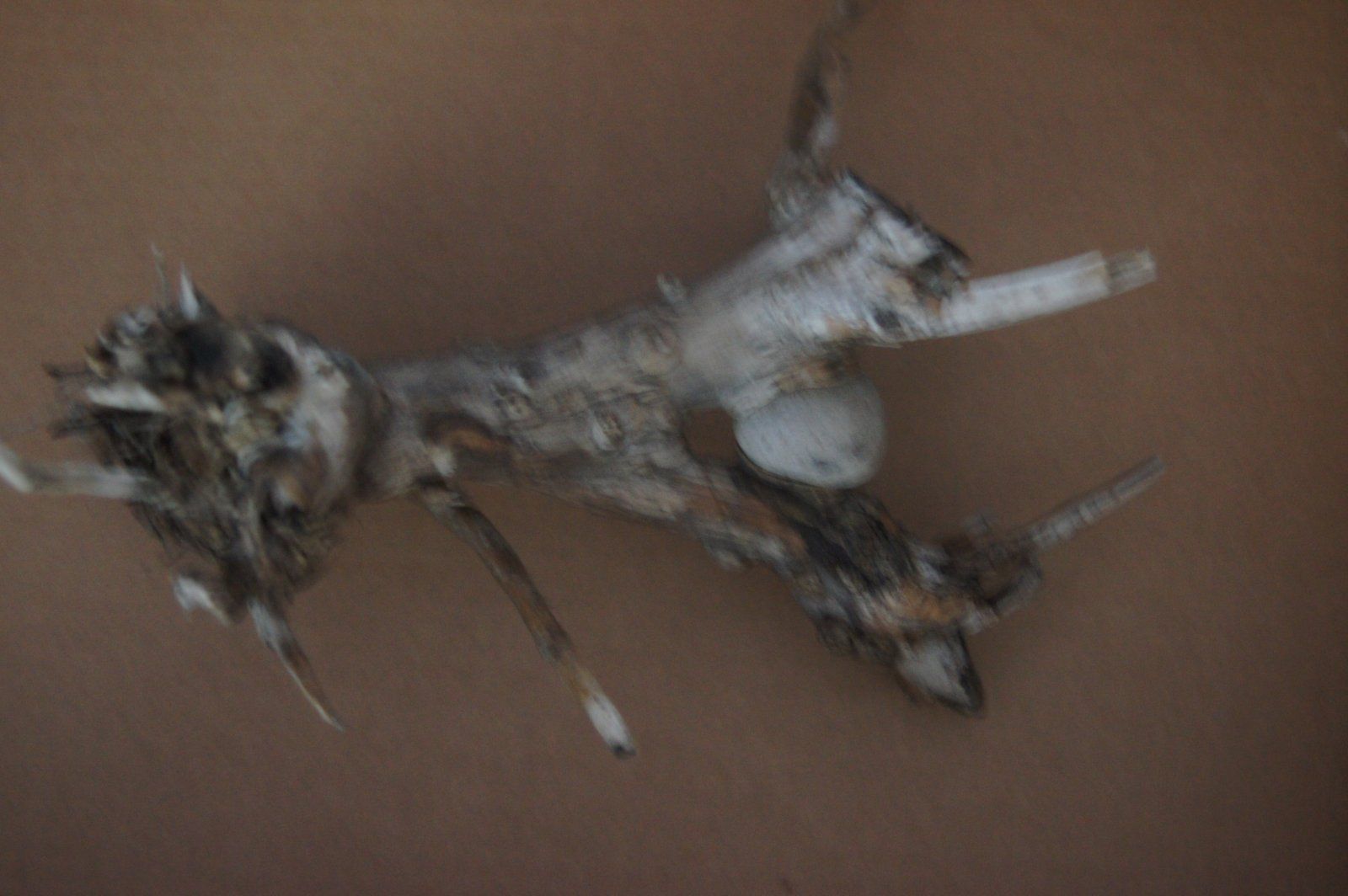 DSC04367.JPG