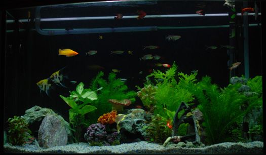 DSC_0091_edited_3.jpg