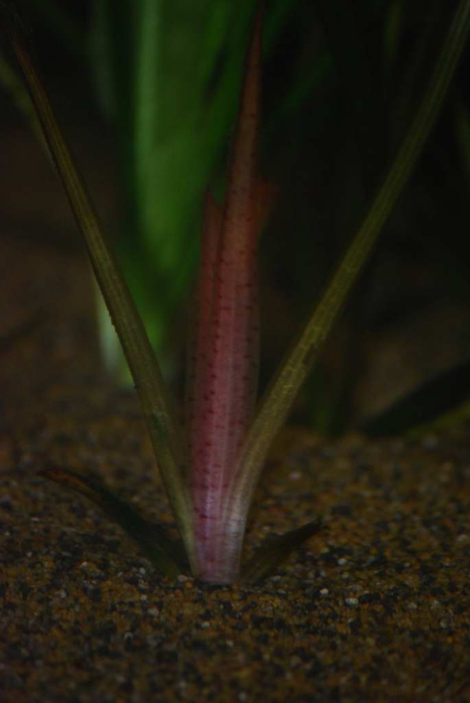 DSC_01780001.JPG