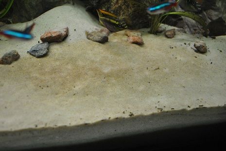 DSC_0572.JPG