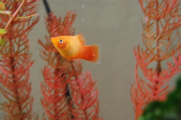 DSC_7026.JPG
