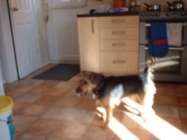 DSCF0043.JPG