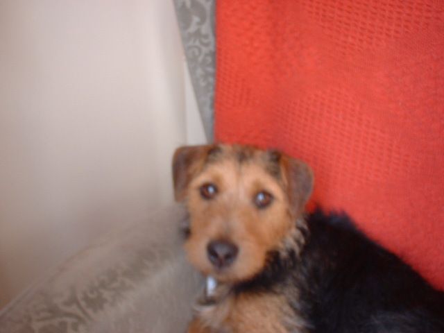 DSCF0045.JPG