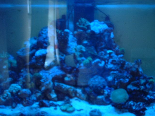 DSCF0046.JPG