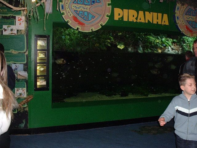 DSCF0101.JPG