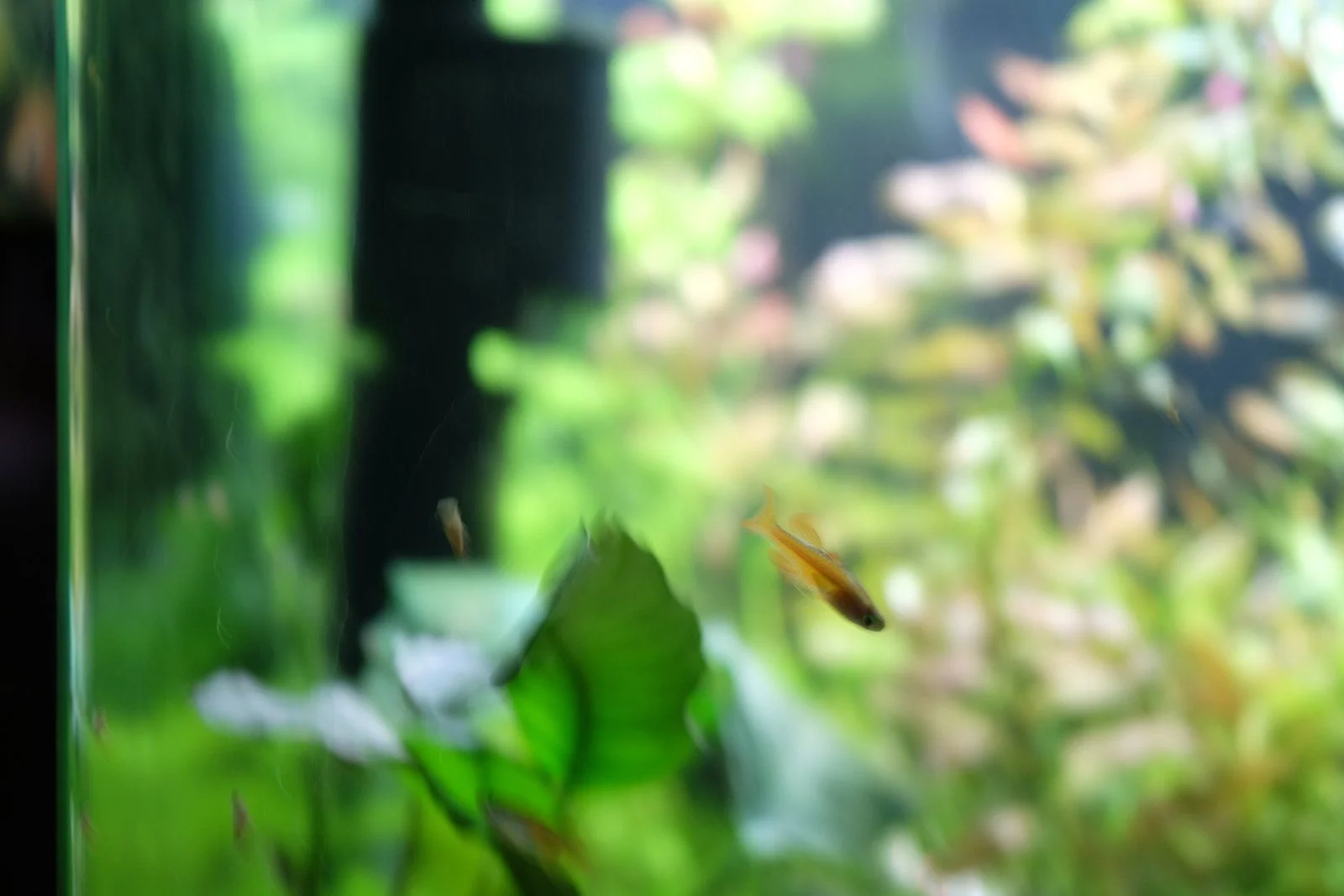 DSCF0152.JPG