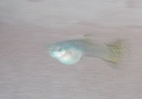 DSCF0290.jpg