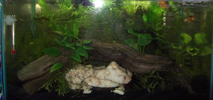 DSCF0598.jpg