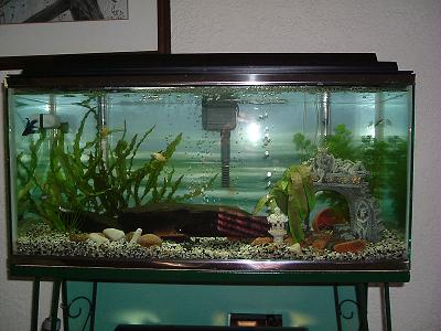 DSCF1249.JPG