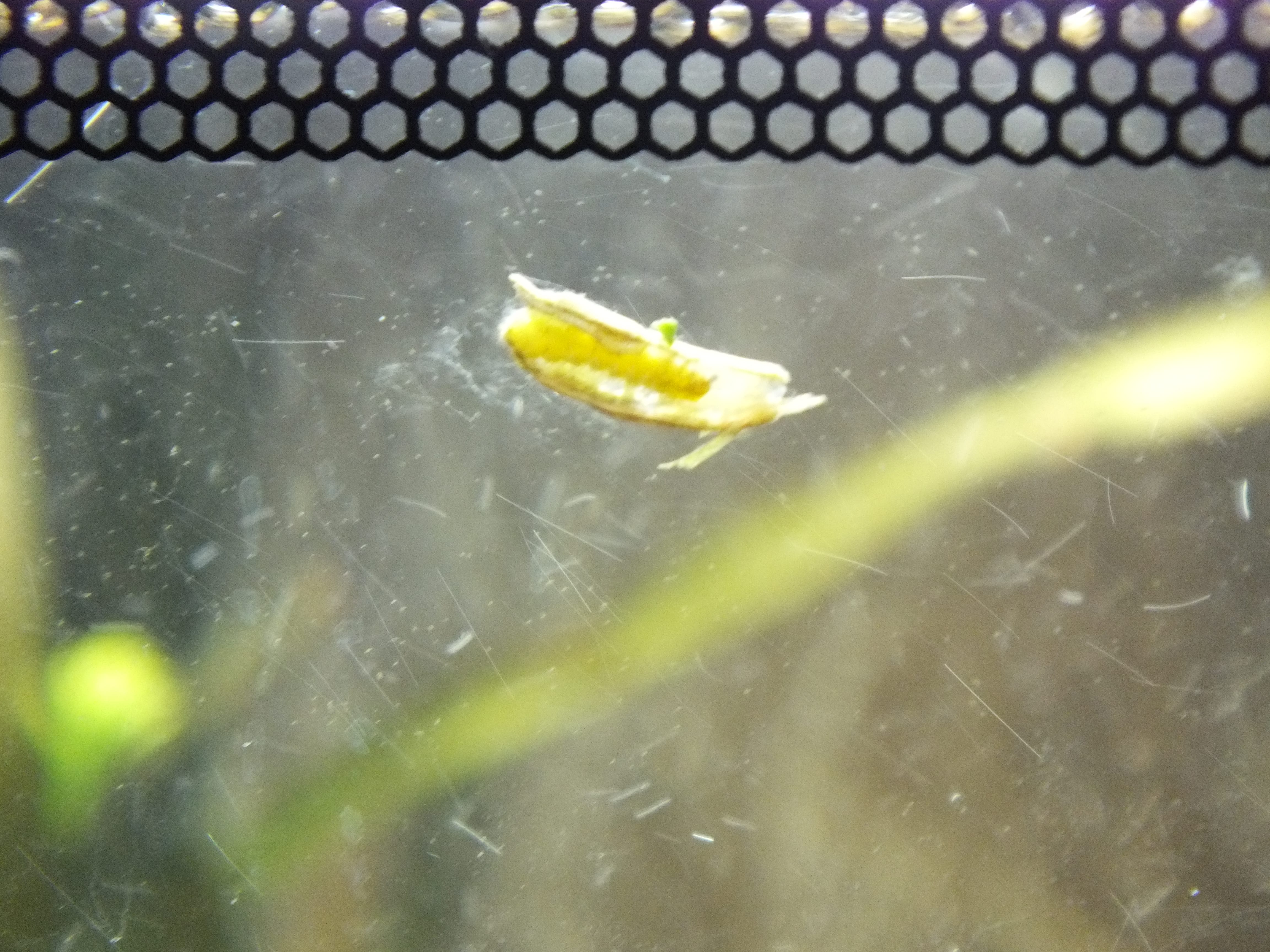 DSCF1408-min.JPG