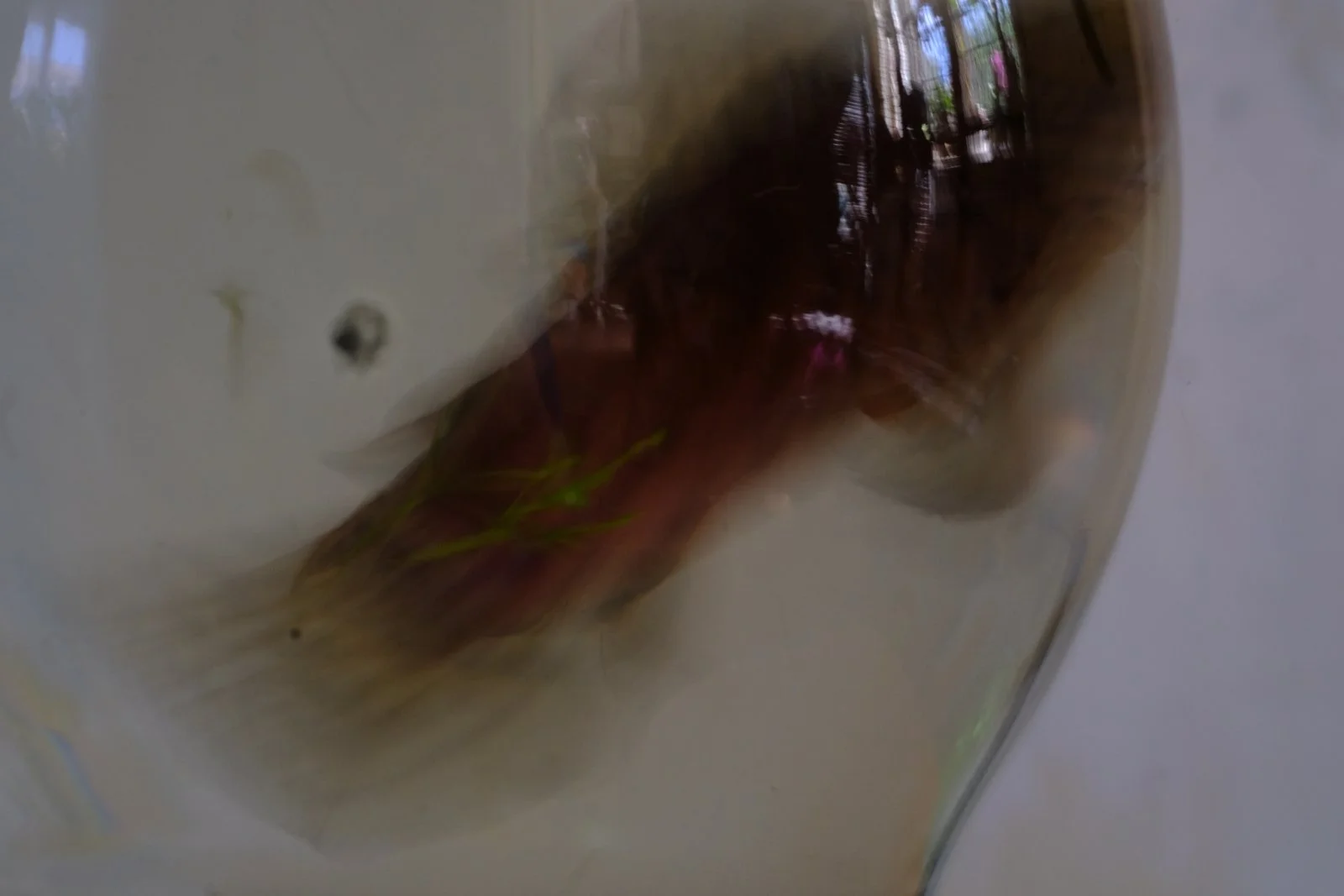 DSCF1478.JPG