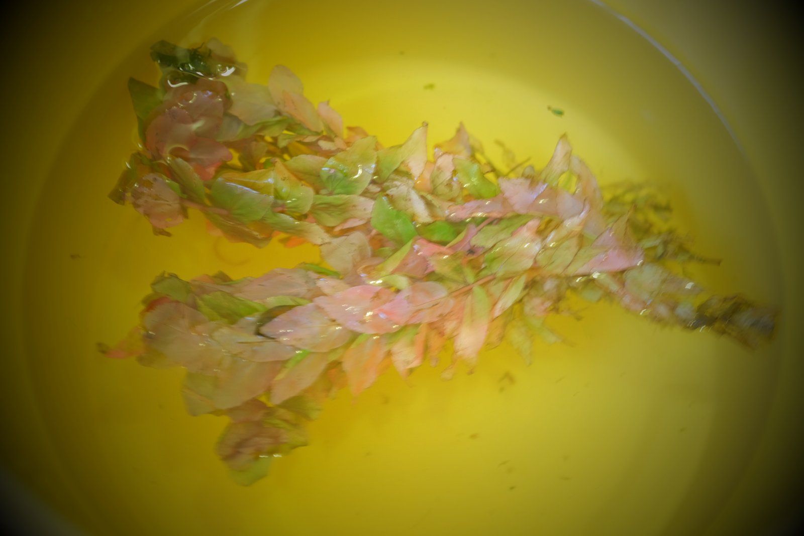 DSCF1551.JPG