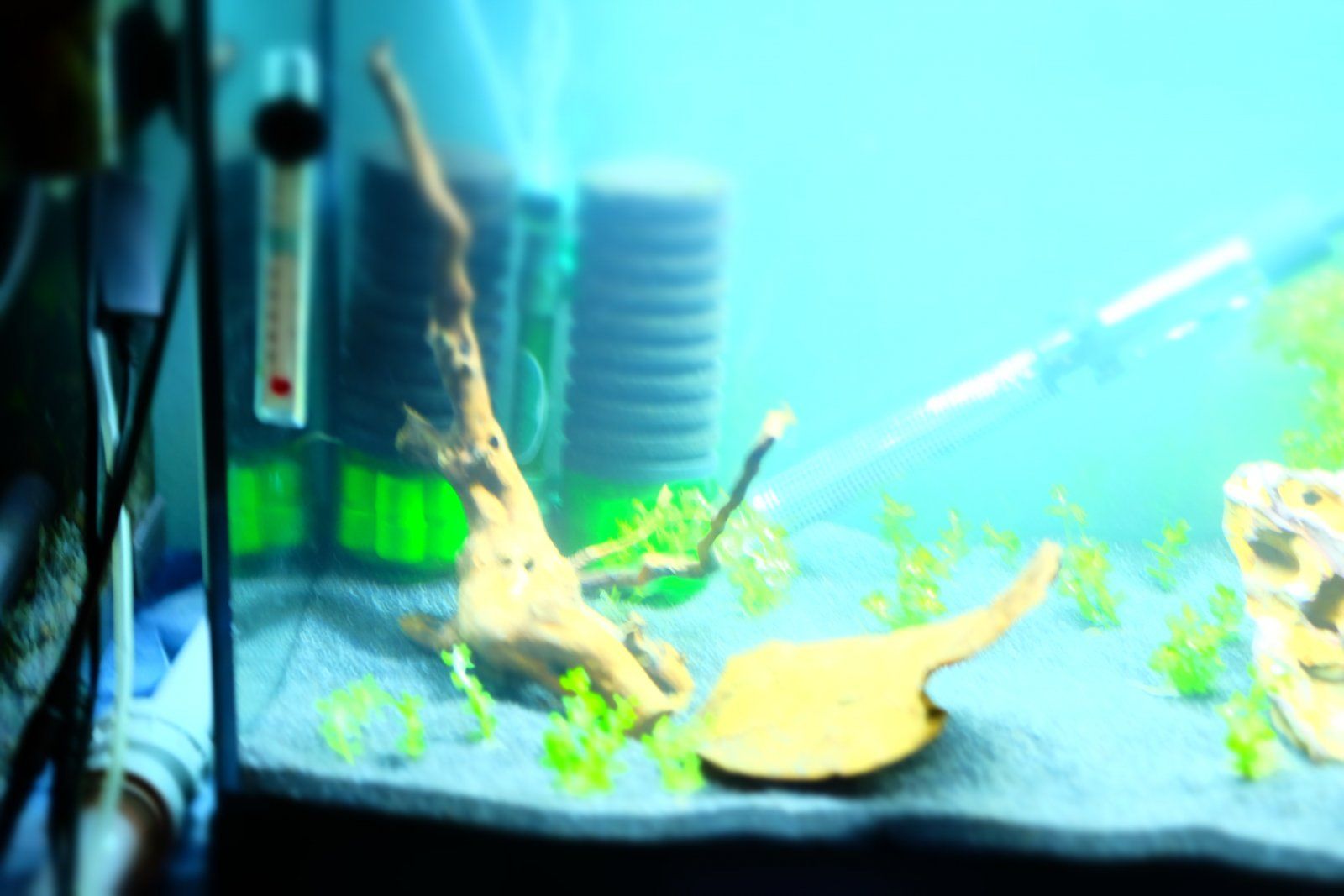 DSCF1830.JPG