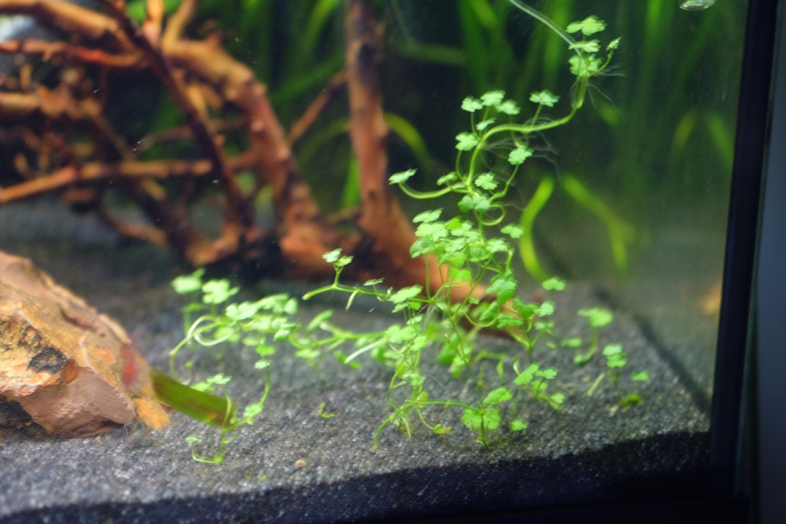 DSCF2362.JPG