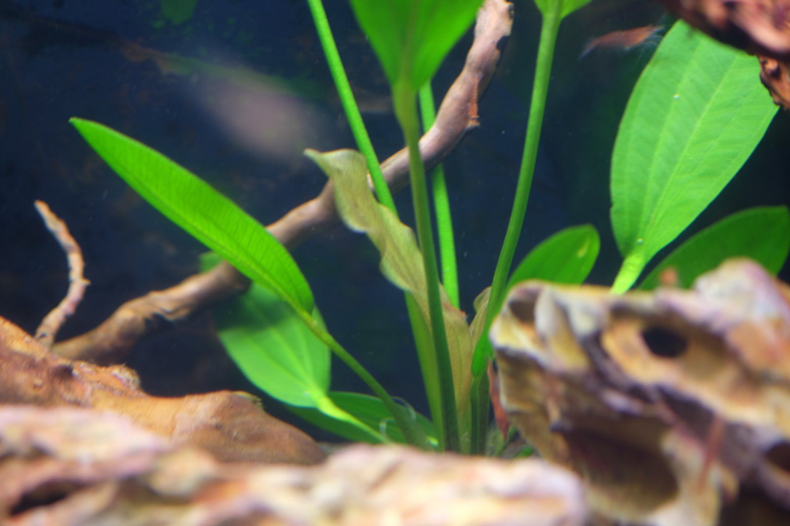 DSCF2381.JPG
