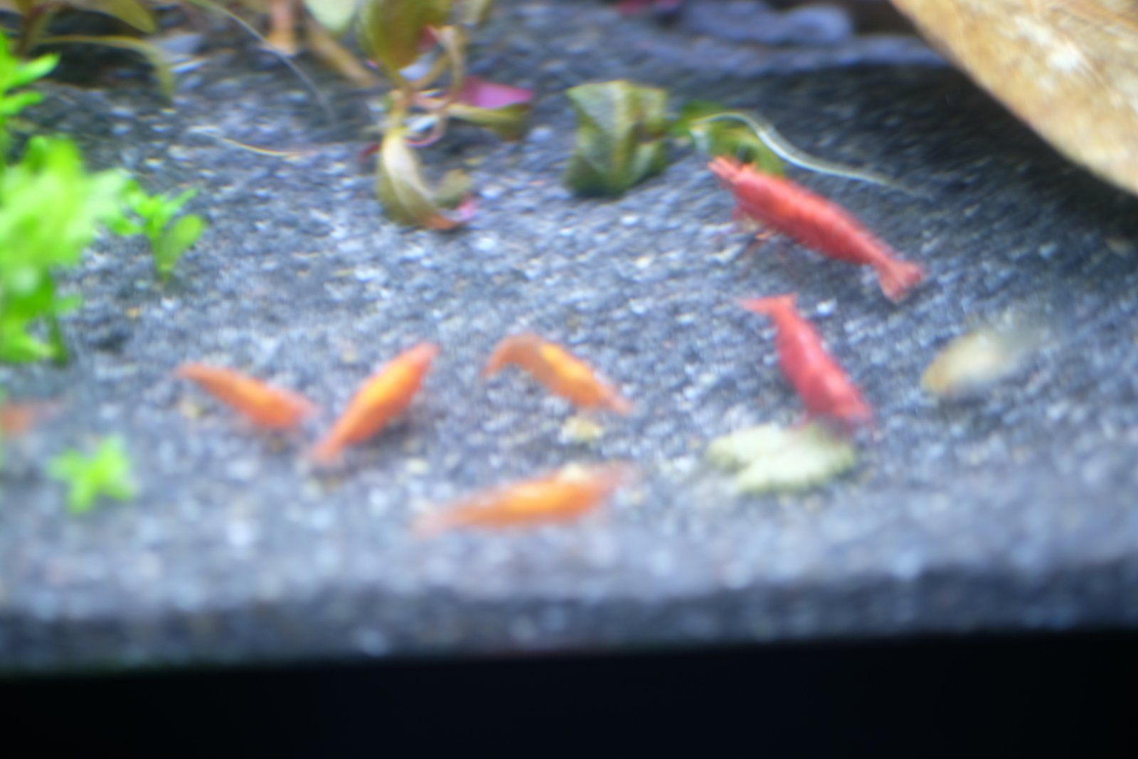 DSCF2853.JPG
