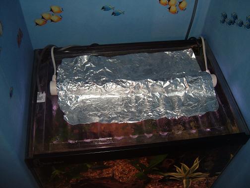 DSCF2991.JPG