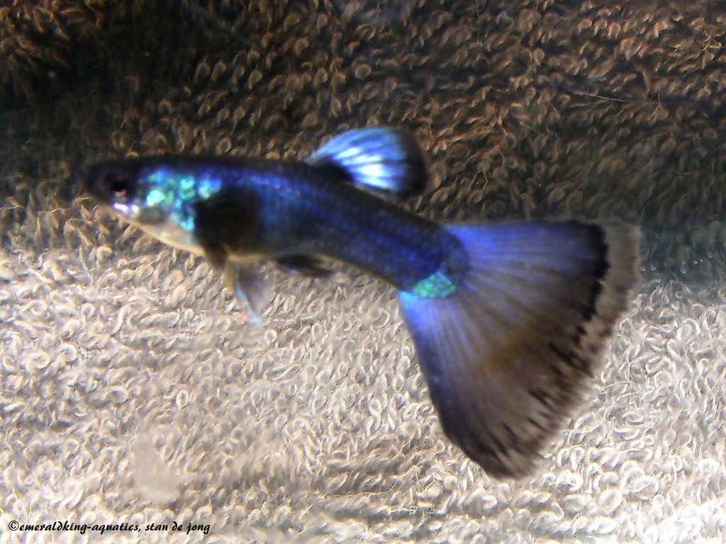 DSCF3077.JPG