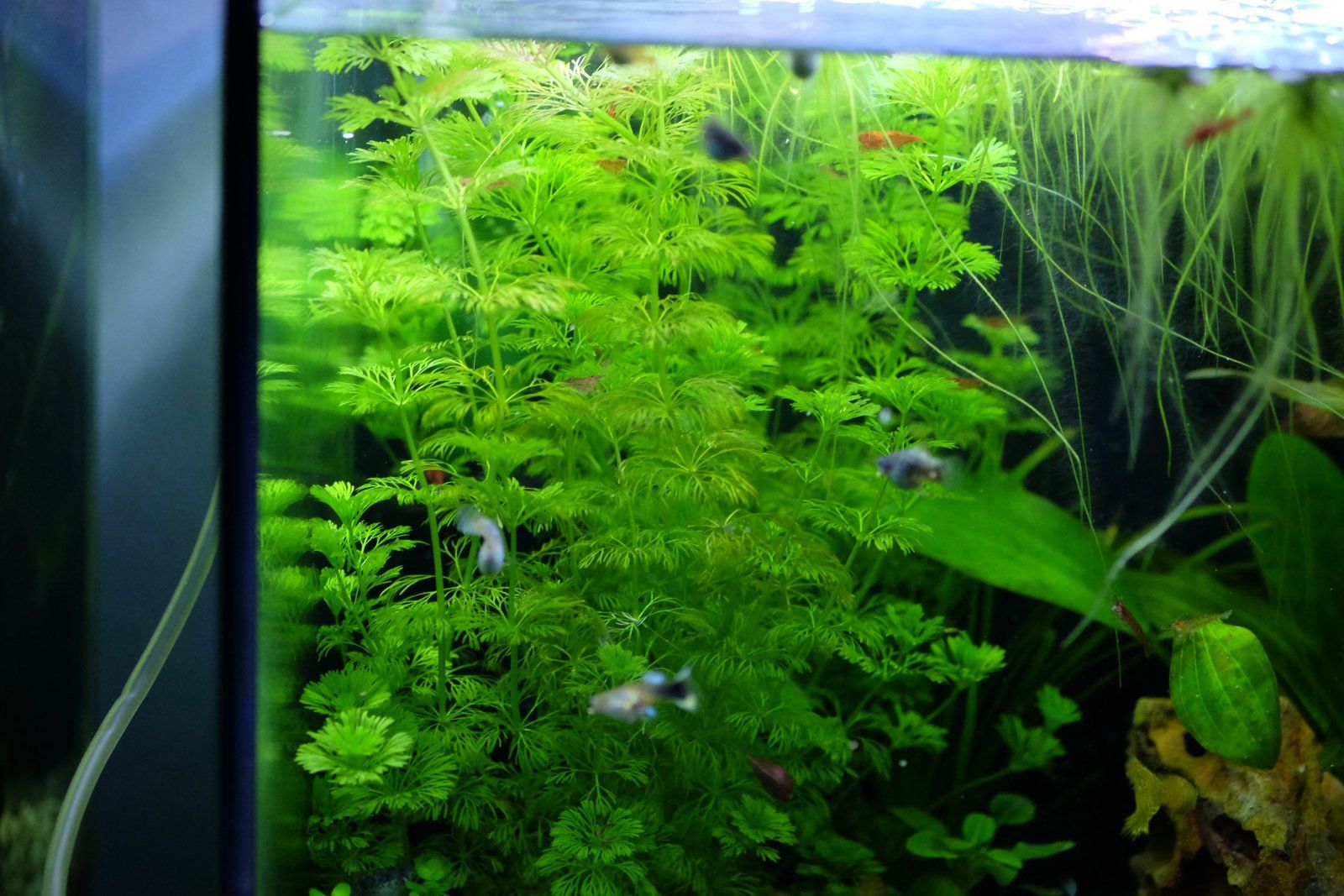 DSCF3601.JPG