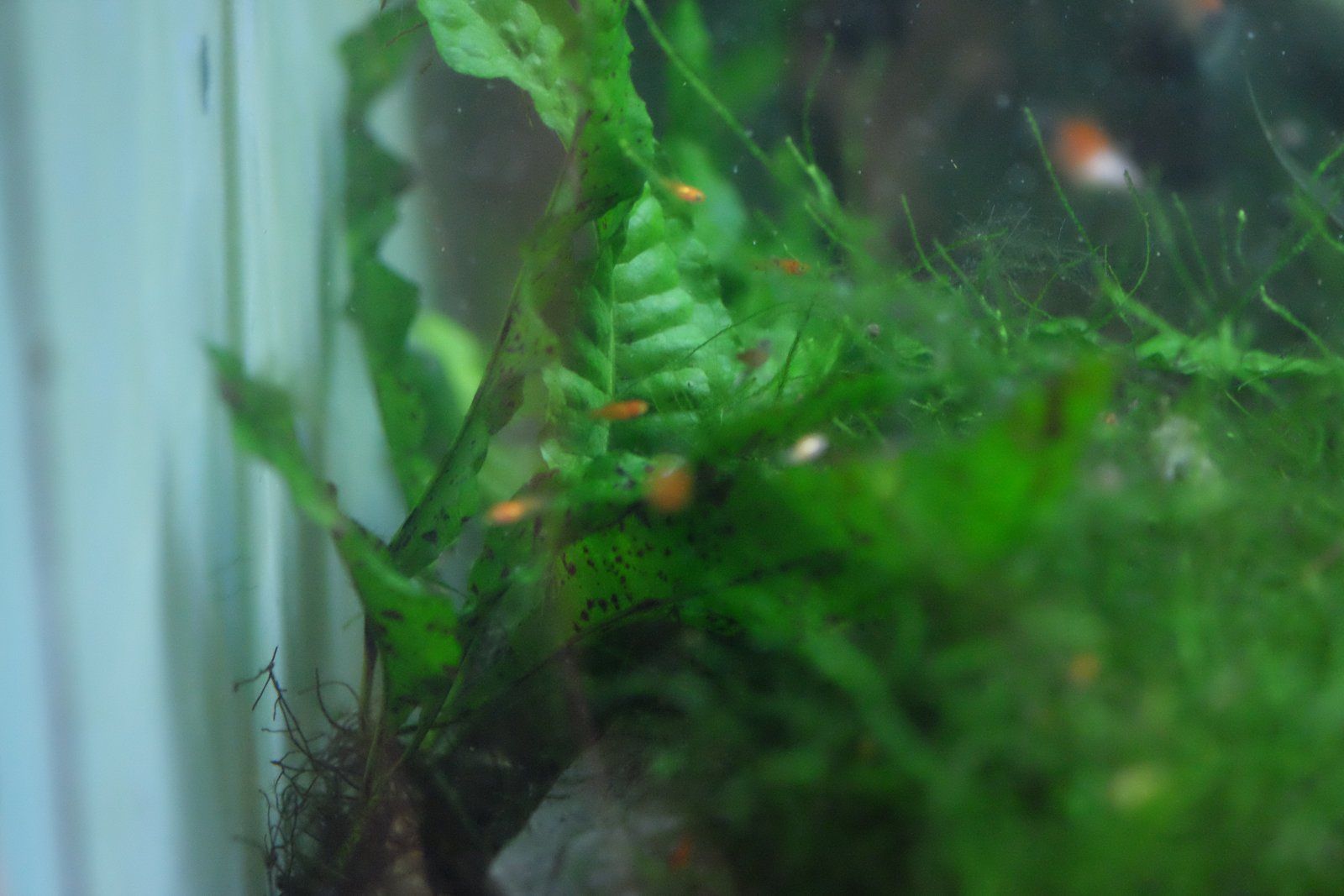 DSCF3629.JPG