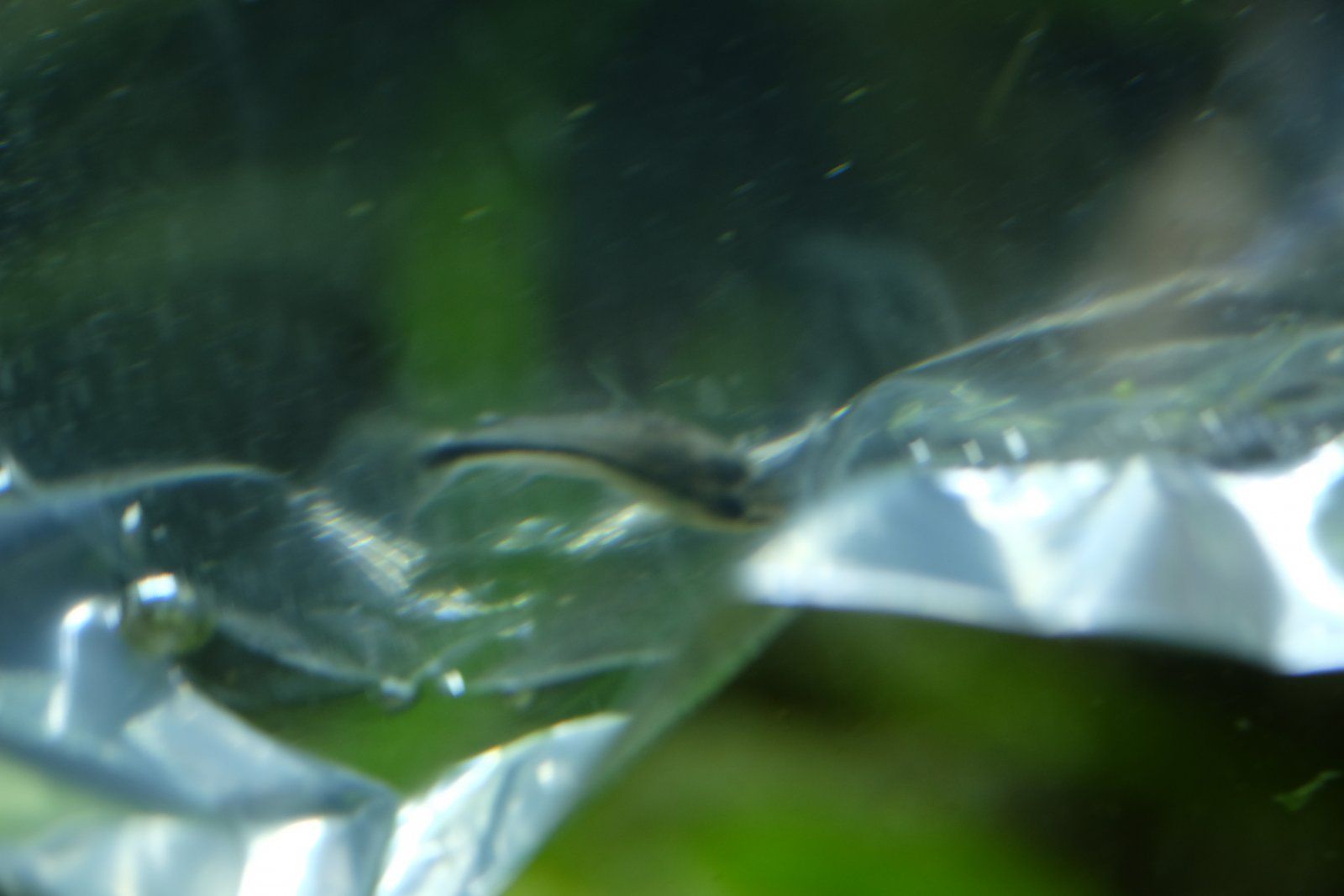 DSCF4292.JPG