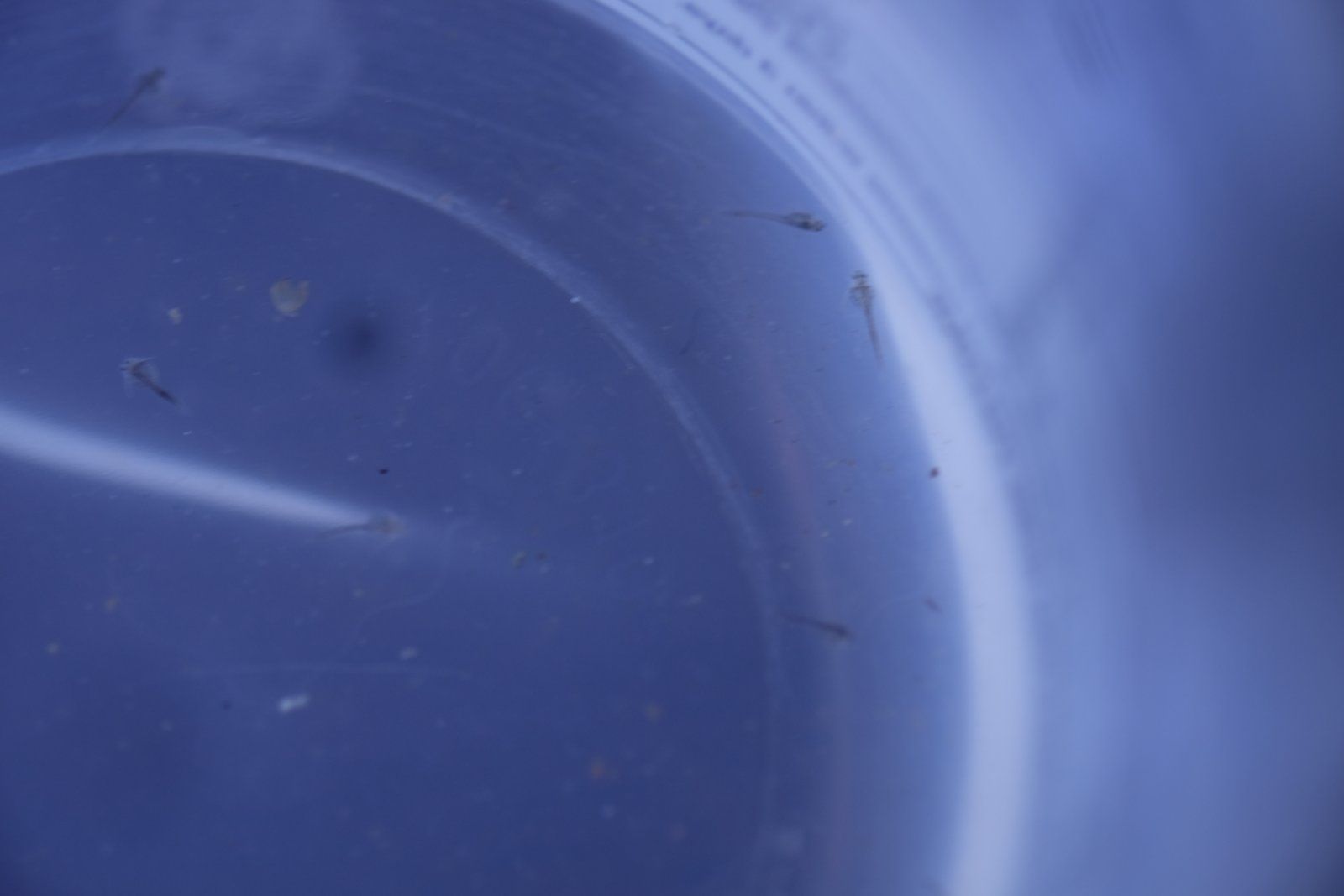 DSCF4346.JPG