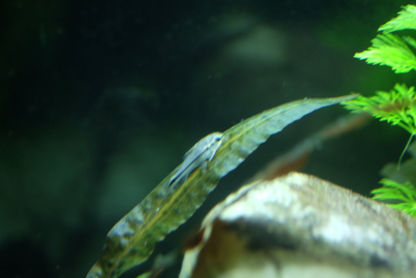 DSCF4628.JPG