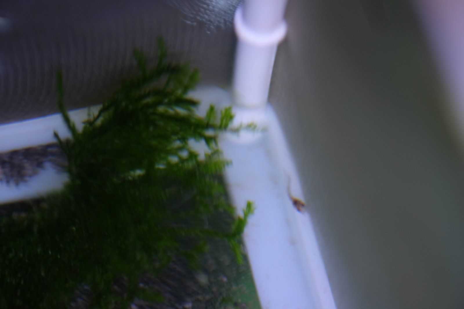 DSCF4655.JPG