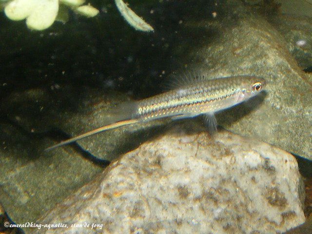 DSCF5425.JPG