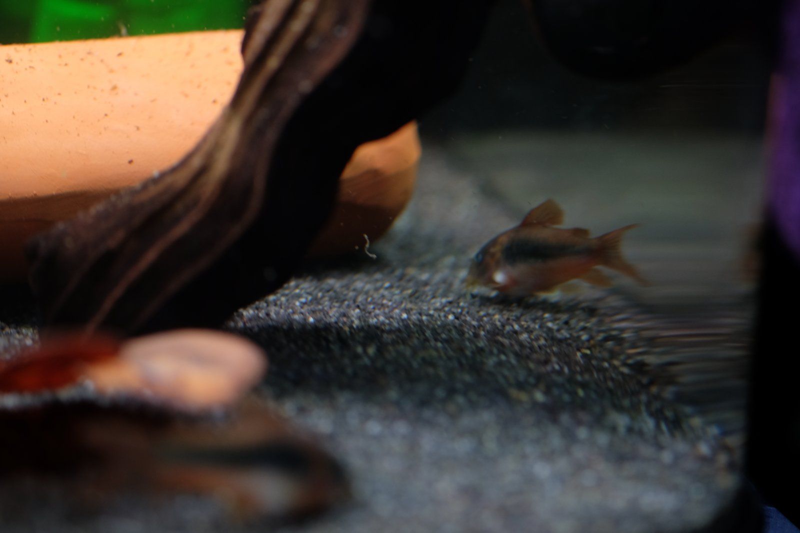 DSCF5921.JPG