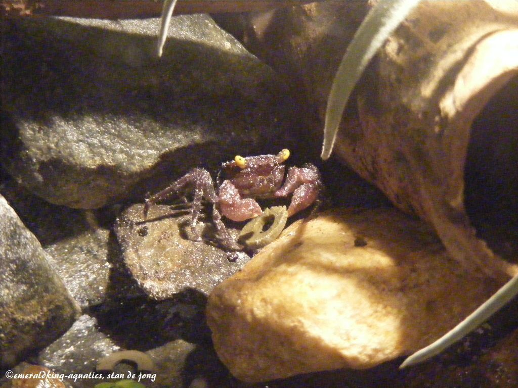 DSCF6352.JPG
