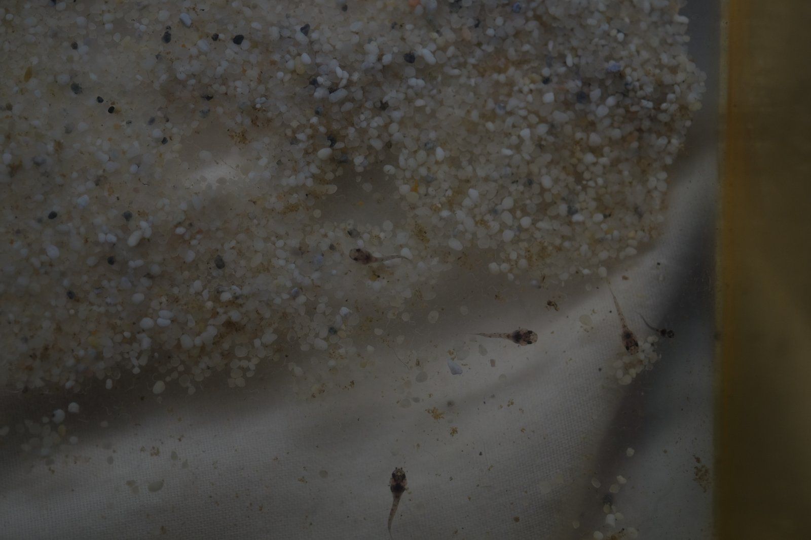 DSCF6939.JPG