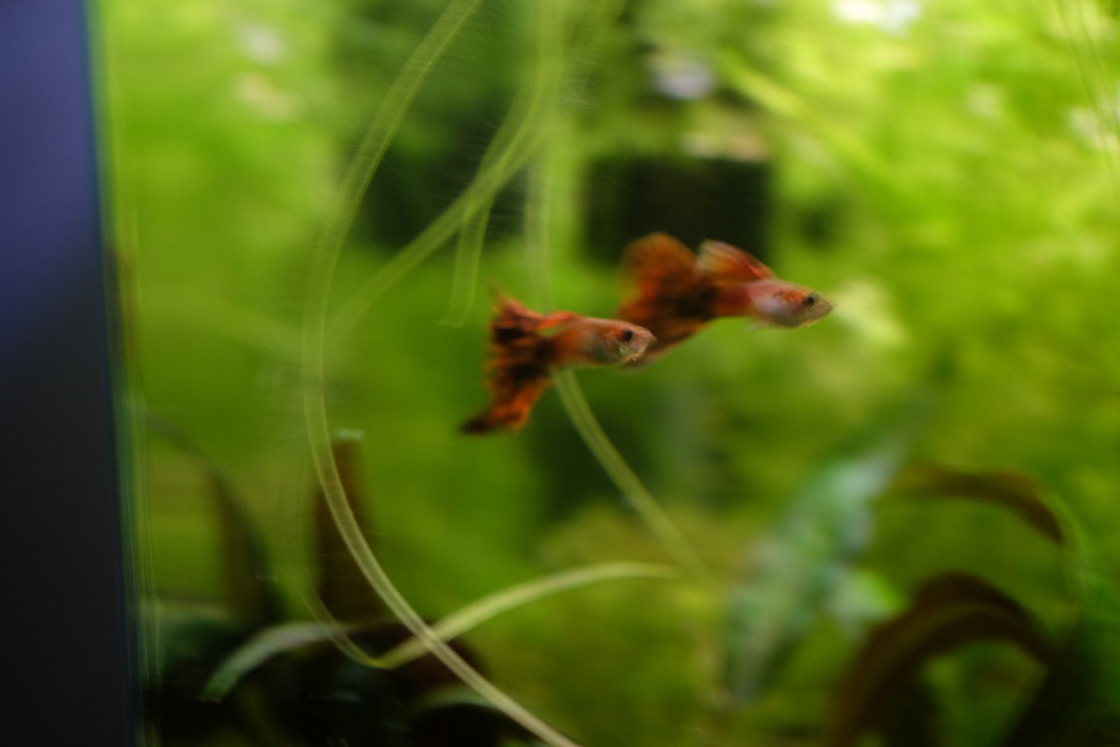 DSCF7852.JPG
