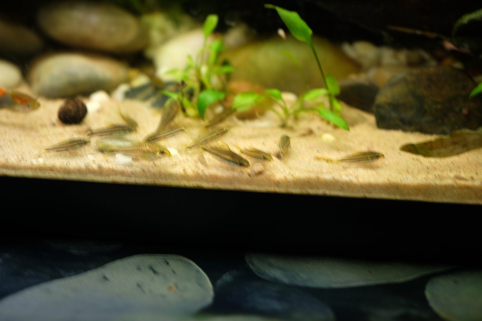 DSCF8031.JPG