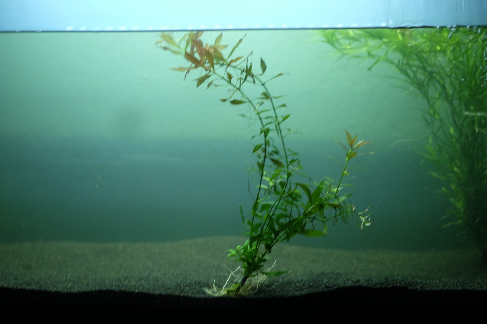 DSCF8780.JPG