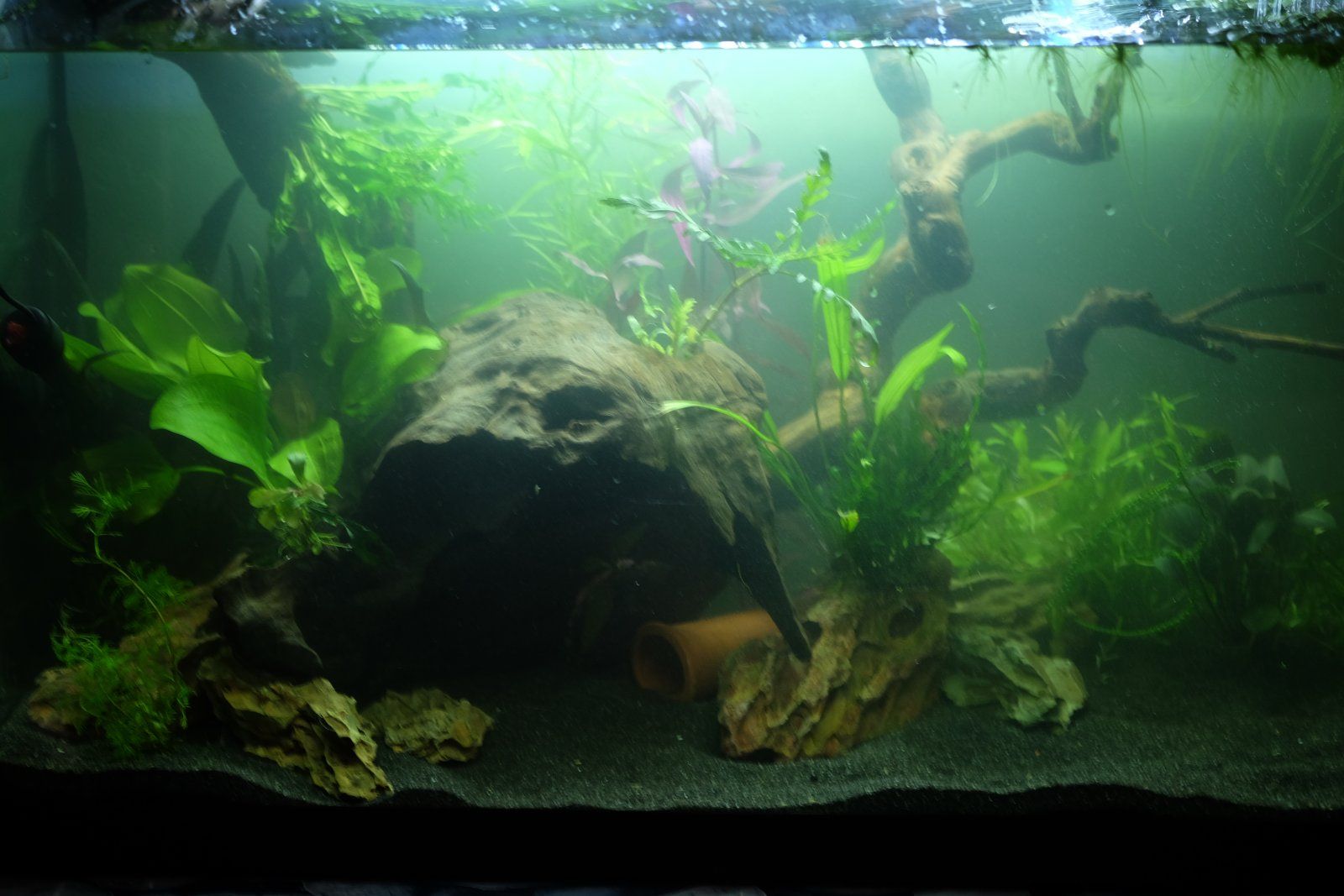 DSCF8849.JPG
