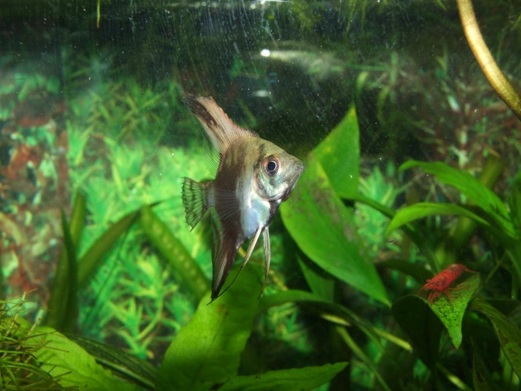 DSCF9053.JPG