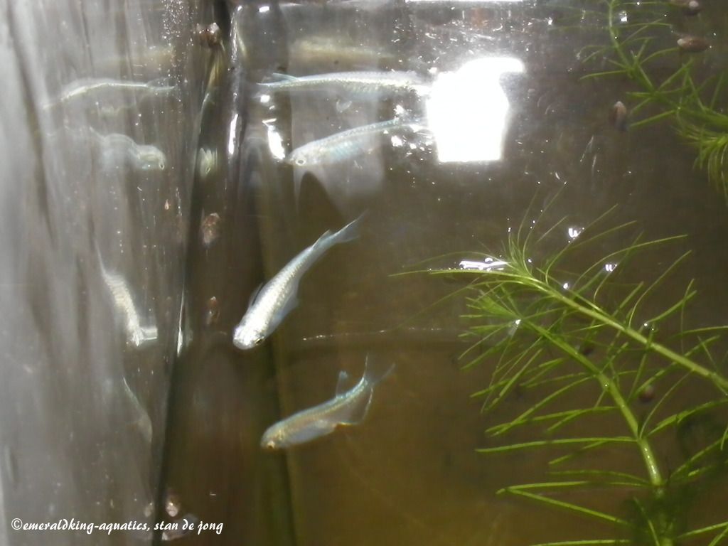 DSCF9170.JPG