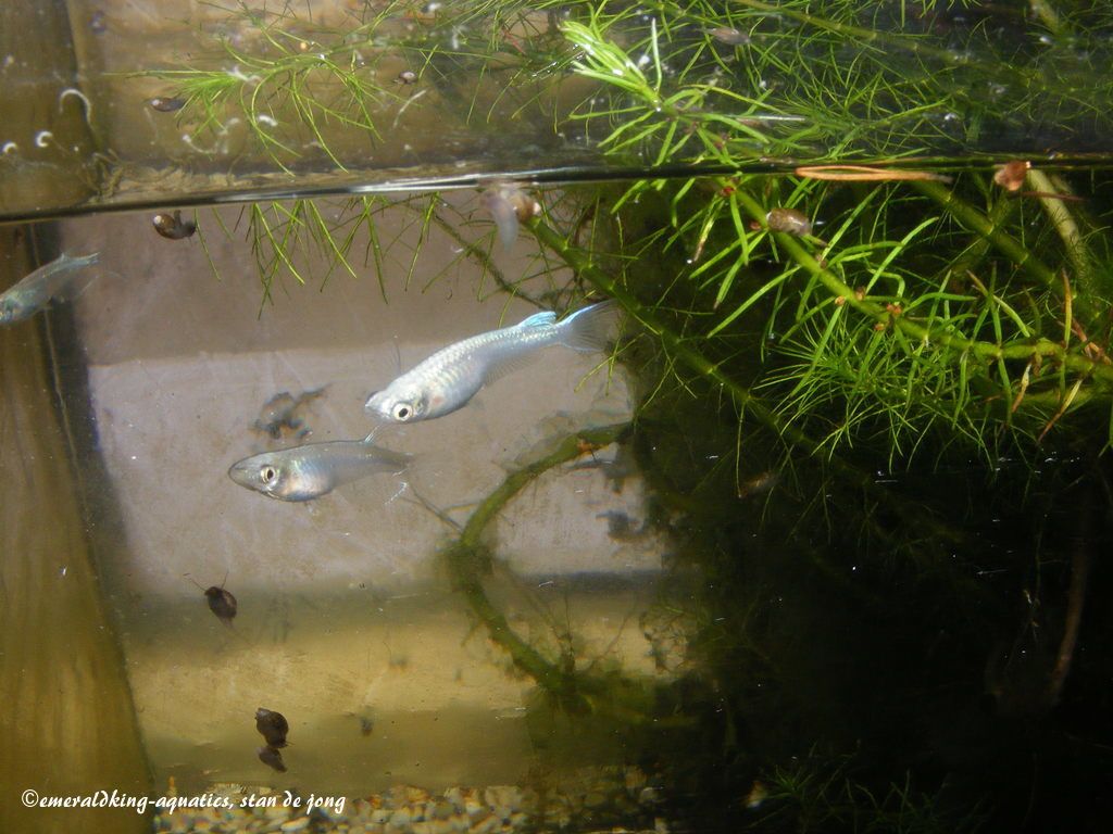 DSCF9221.JPG